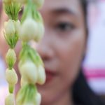 Rangsang Pembangunan Pendapatan Kondisi Keuangan Warga Lewat Beauty Course Meronce Melati